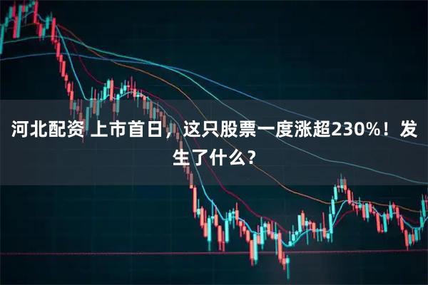 河北配资 上市首日，这只股票一度涨超230%！发生了什么？